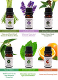 Pure Aroma Essential Oils Gift Sets Pack for Diffuser & Humidifier  Aroma Oils Massage- Aromatherapy Hair & Skin Care