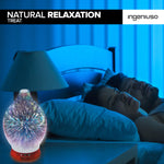 Ingeniuso Aromatherapy Essential Oil Diffuser 3D Glass Vase Cover with Fish Kiss Flask