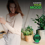 Ingeniuso Aromatherapy Essential Oil Diffuser 3D Glass Vase Cover with Round Bottom Flask